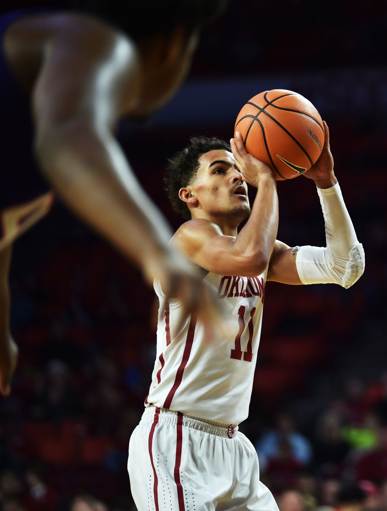 Trae Young